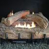 Everwarm Palmetto Oak Vent Free Gas Logs